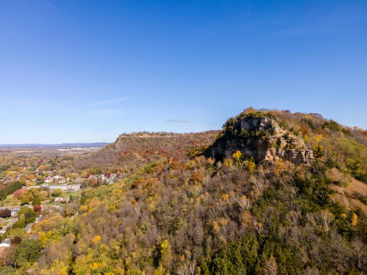 a hill with many different trees and buildings below it