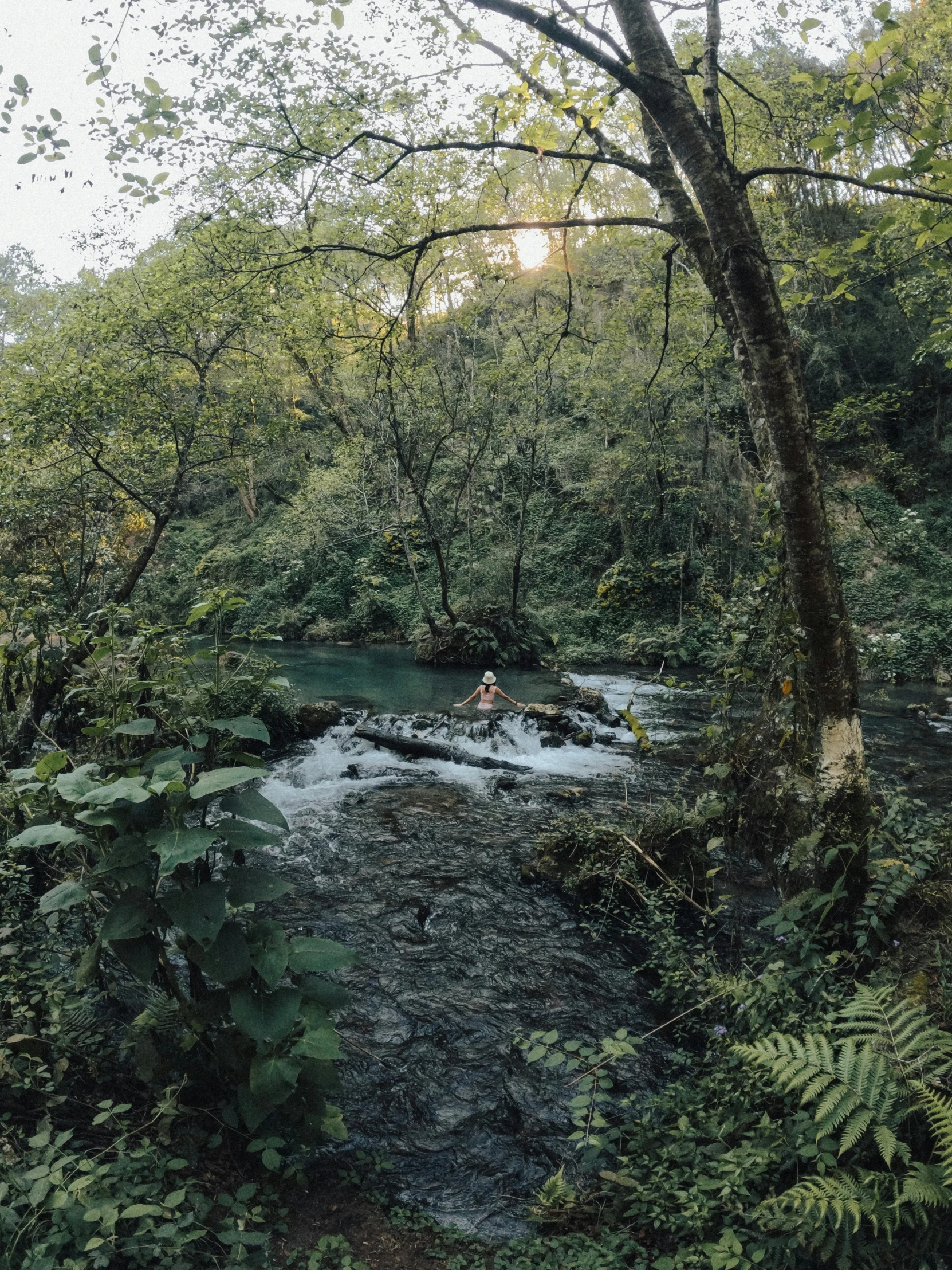 a river runs through a forest with people on boats