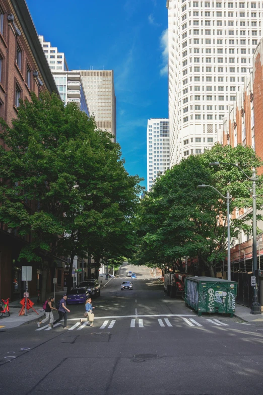 street with cars and trees on both sides