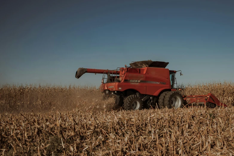 a large red farm machine driving through the middle of a cornfield