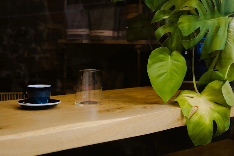 a leaf and cup on a table by some leaves