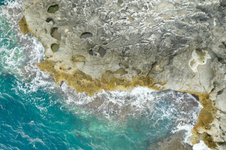 two animals that are standing on the rocks near water