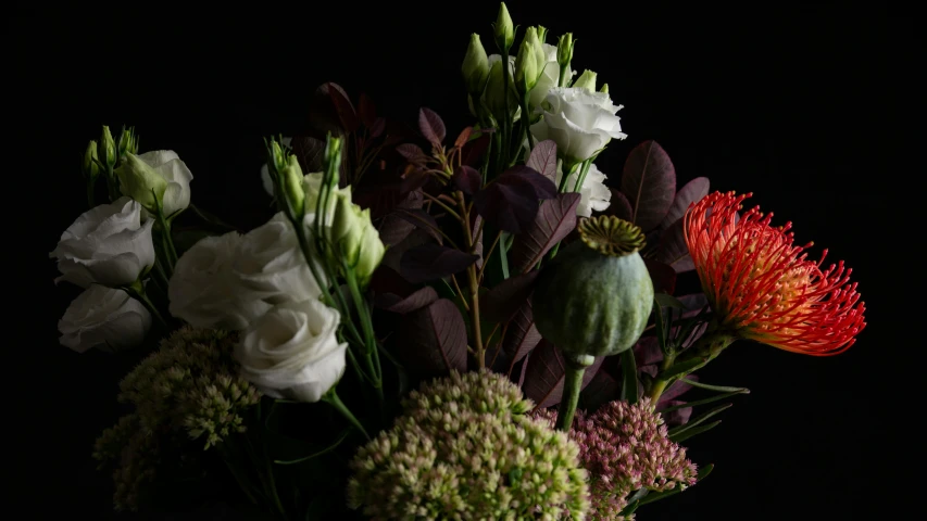 a group of flowers in a vase, against a dark background