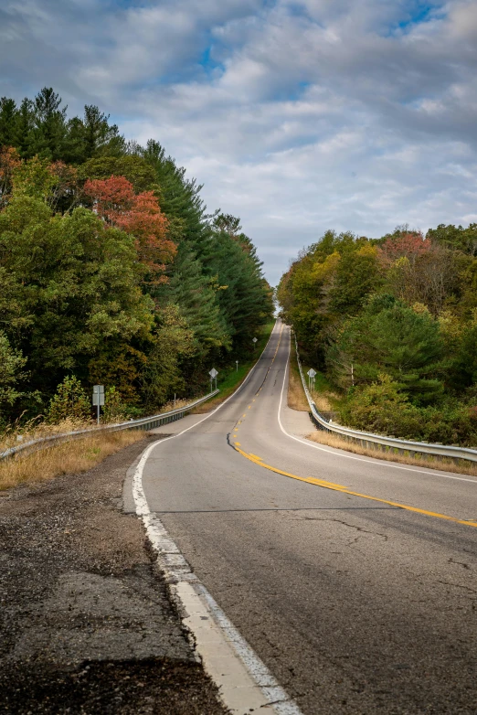 a curved highway with trees lining both sides