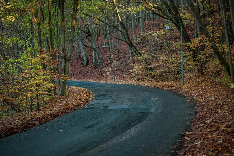 the road is winding through some beautiful fall trees