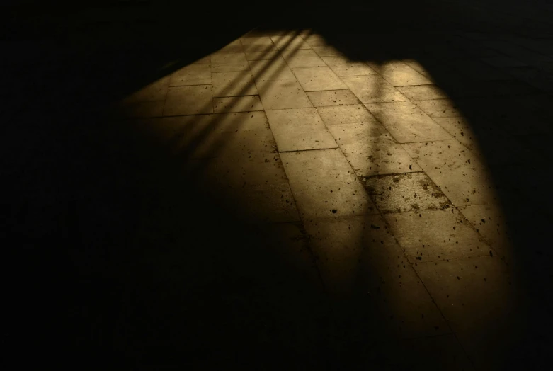 the shadow of a person on a tile floor