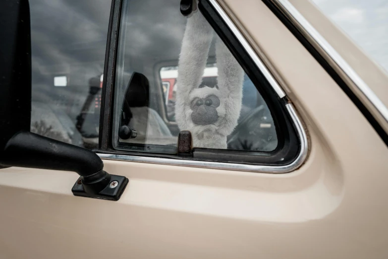 an odd face sticking its head out of a car window