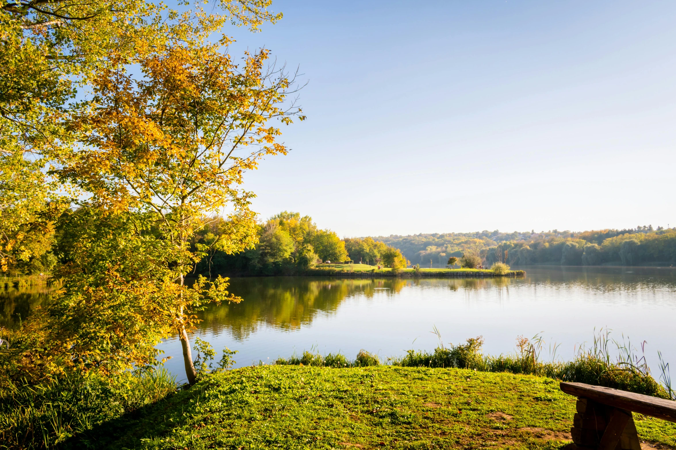 a bench is set on a grassy bank overlooking a small lake