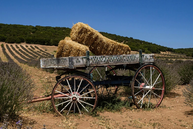 some hay is being loaded onto a wagon