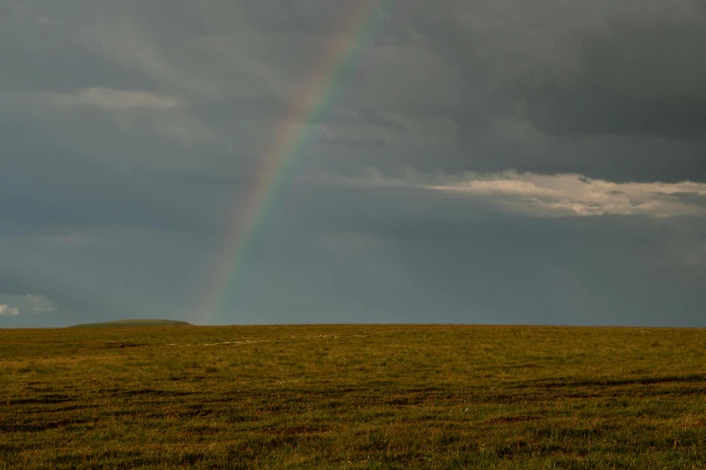 a rainbow appears in the sky above a green plain