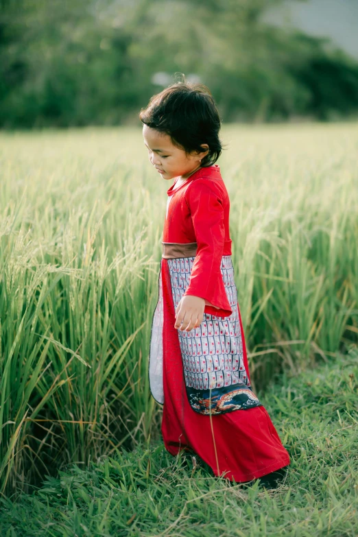 a little girl that is in some grass