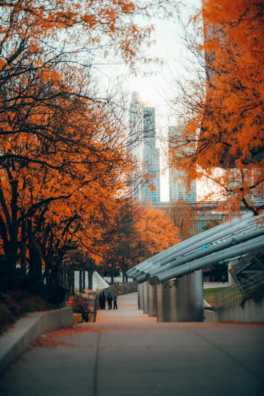 fall trees in front of a building and pedestrians