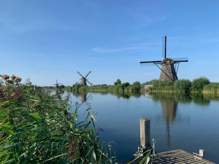 the windmills are very large and standing in the water