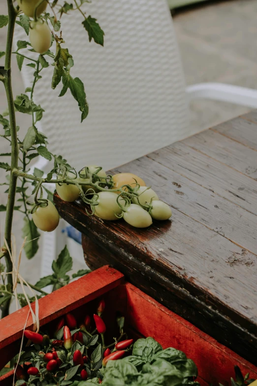 a bunch of green fruit is laying on the table