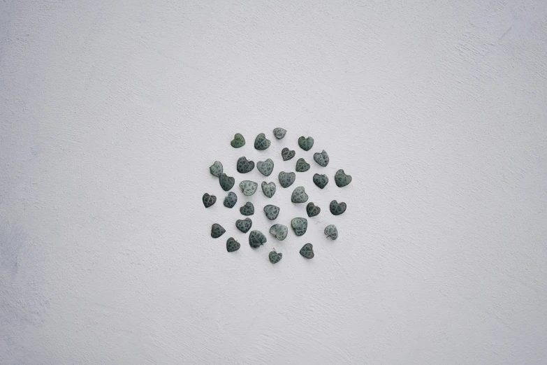 a circle consisting of green leaves in a white background