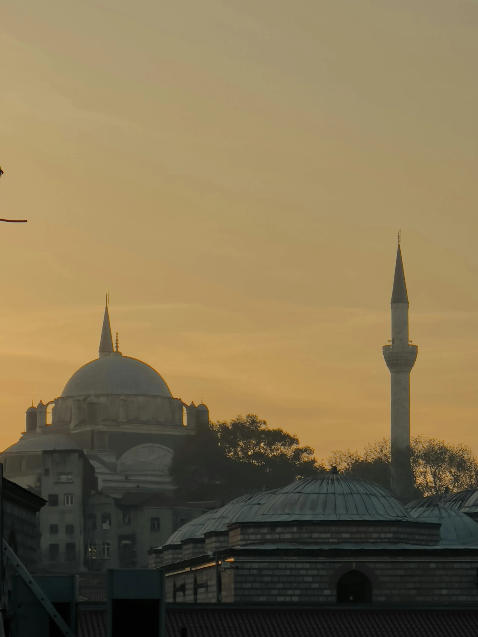 a building and a bird in front of an orange sky