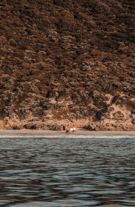 two horses walk out of water in the distance