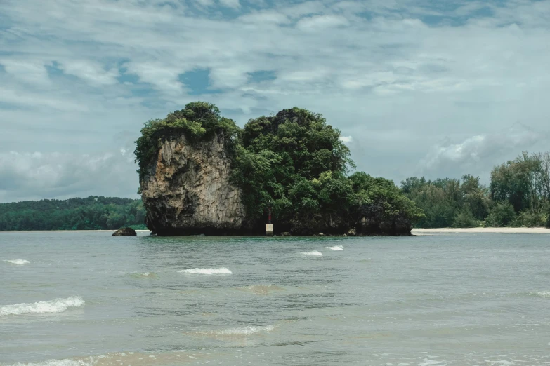 some trees are on an island with water