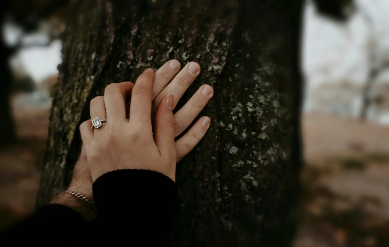 a person with their hand near a tree