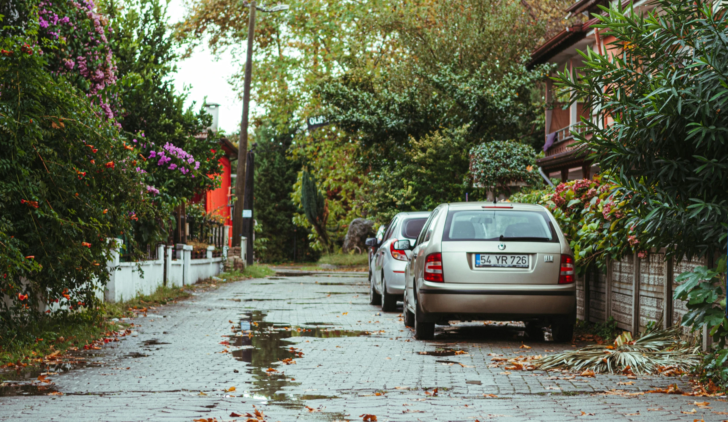 there are three cars parked along this side of the street