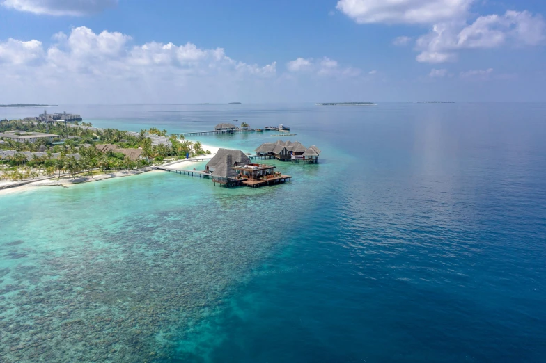 an island with a lot of palm trees and huts