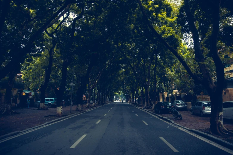 a street that has cars and trees along side it