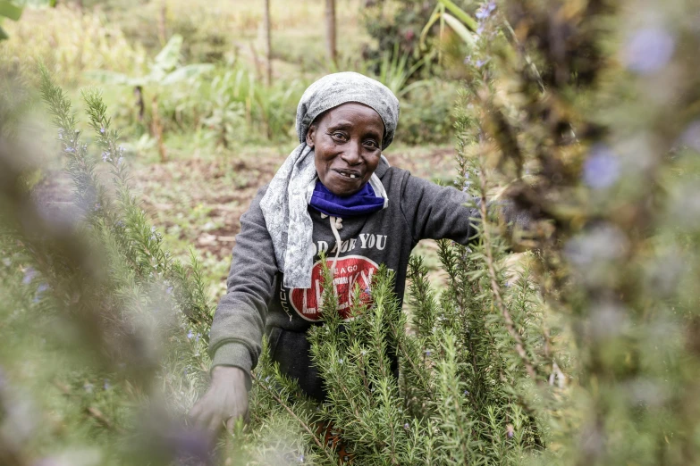 an old lady wearing a headscarf walks through some bushes