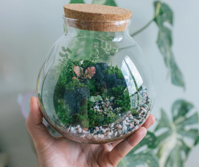 a person is holding a clear glass jar with water and plants in it