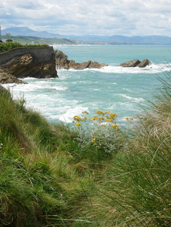 view of the sea from a cliff overlooking the beach