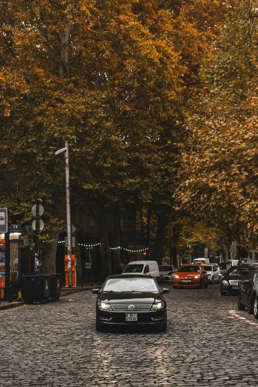 cars are parked along a brick road