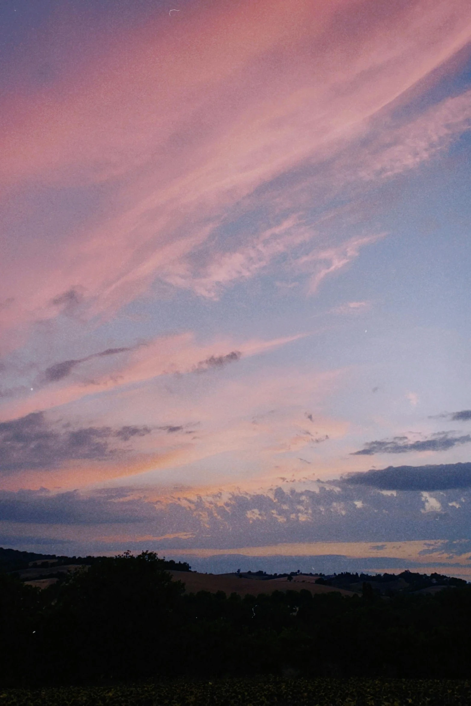 there are some birds flying in the air at sunset