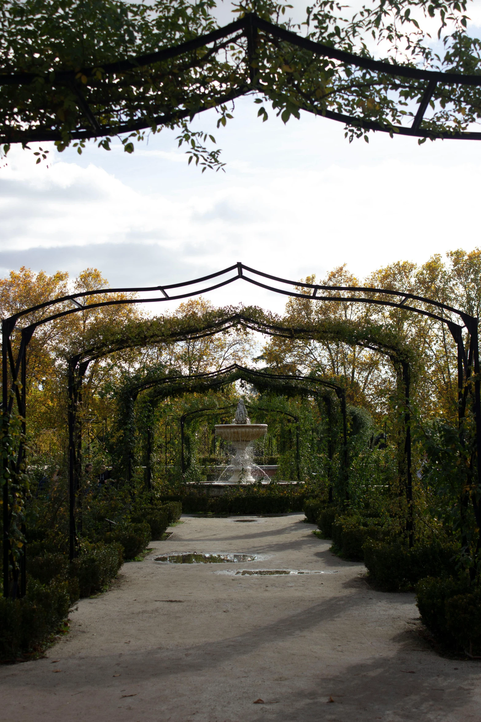 a walkway leads to a stone fountain and a tree - lined pergolated structure