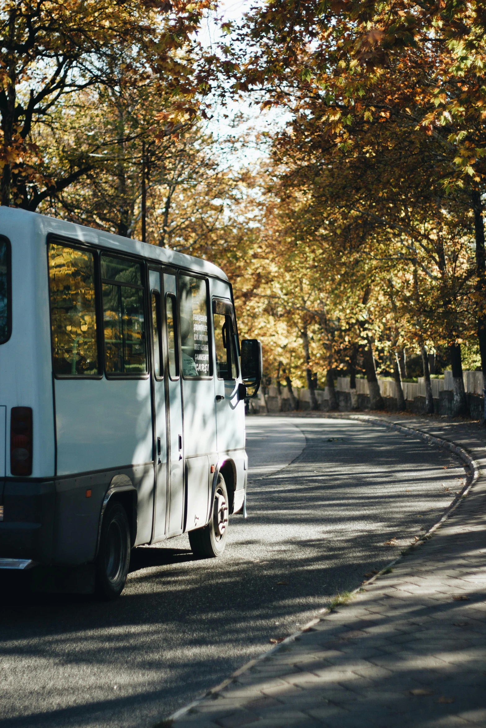 the van is white in color with trees on both sides