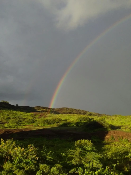 rainbow on a hill with clouds and plants