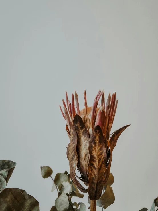 a large flower with green leaves on top of it