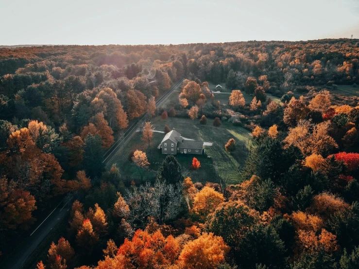 an aerial view of a building surrounded by trees