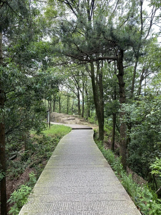a concrete pathway with trees and grass