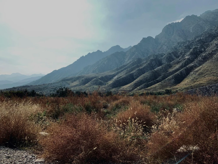 there is a brown grassy plain with mountains in the background