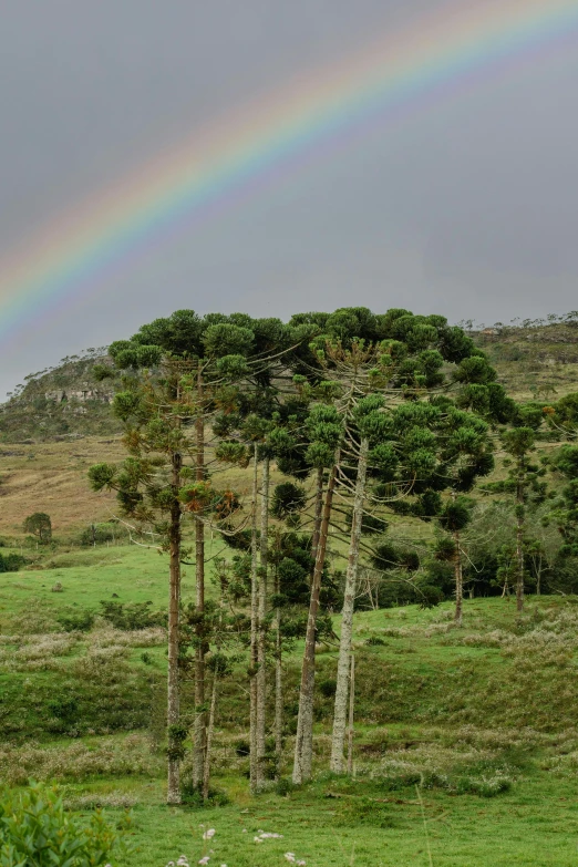 a rainbow appears to be seen in the sky