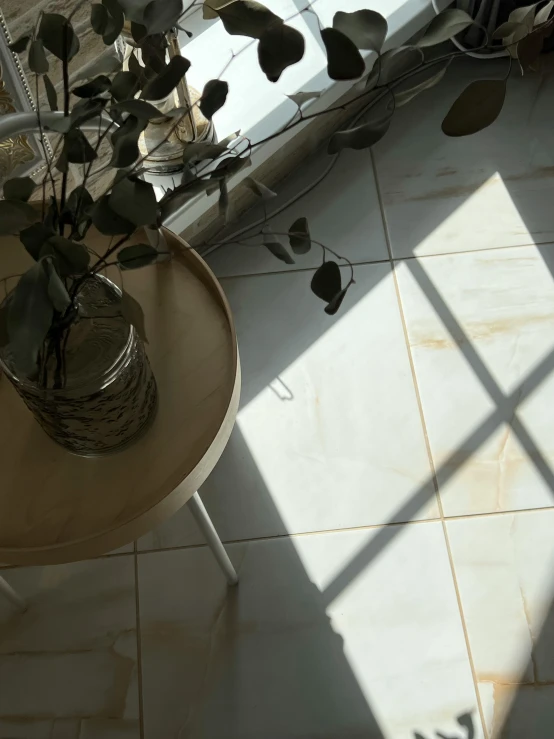 some plants on a table with a mirror in the back ground