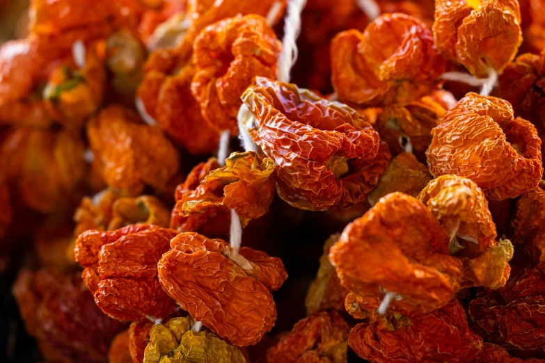 this is close up image of some orange flowers