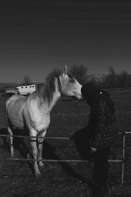 a black and white po of a horse behind a fence