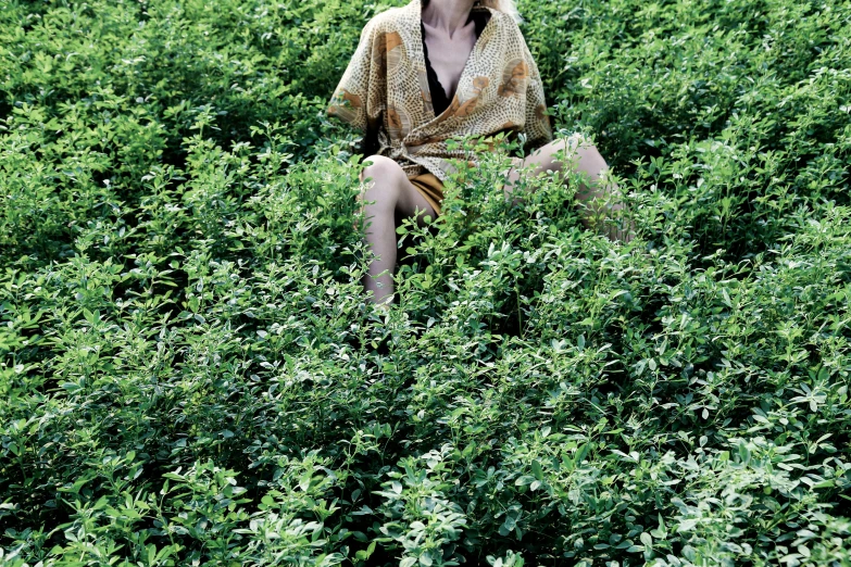 a man sits in a field of green bushes