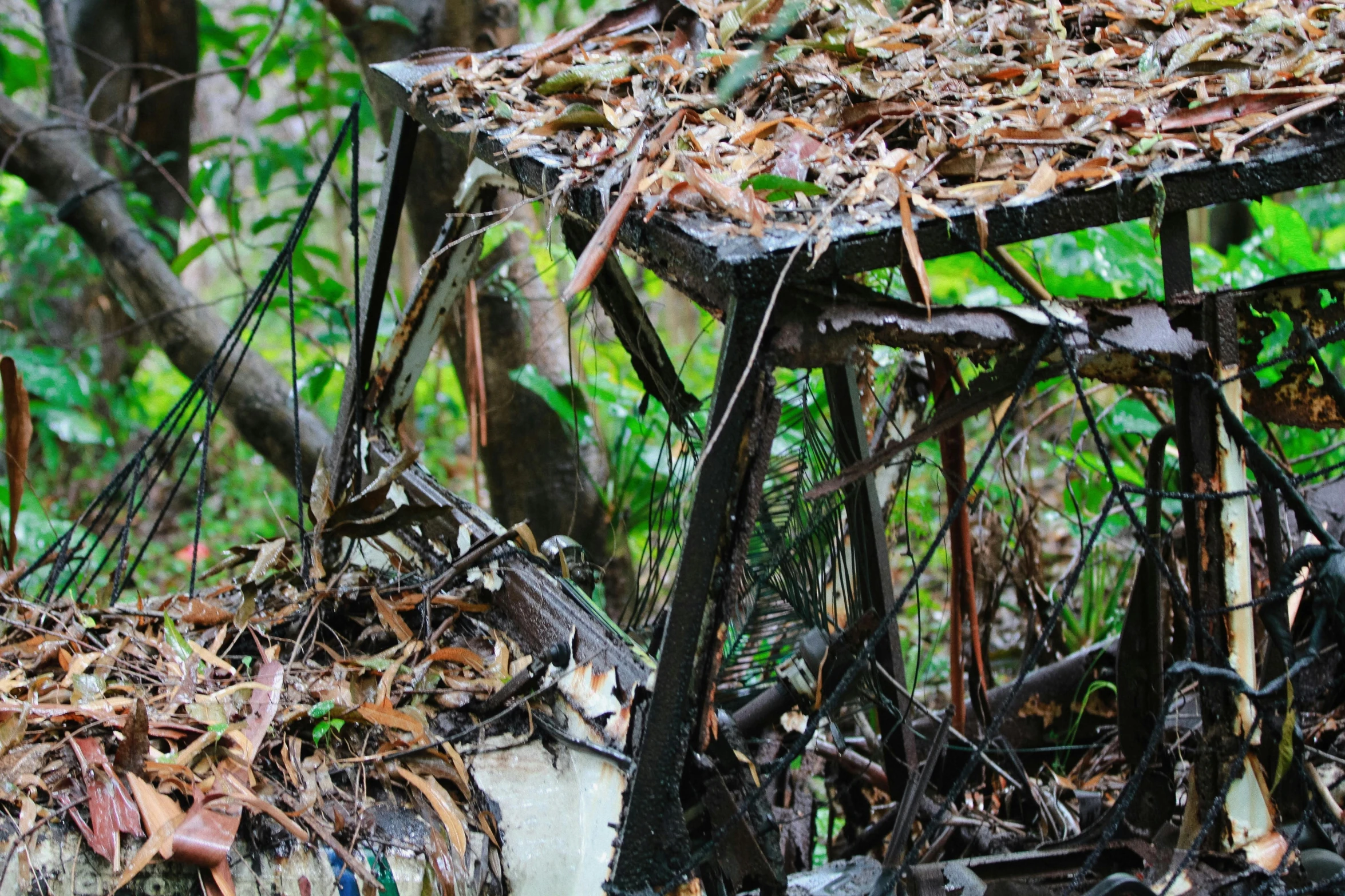 an abandoned chair and a broken glass table in the woods