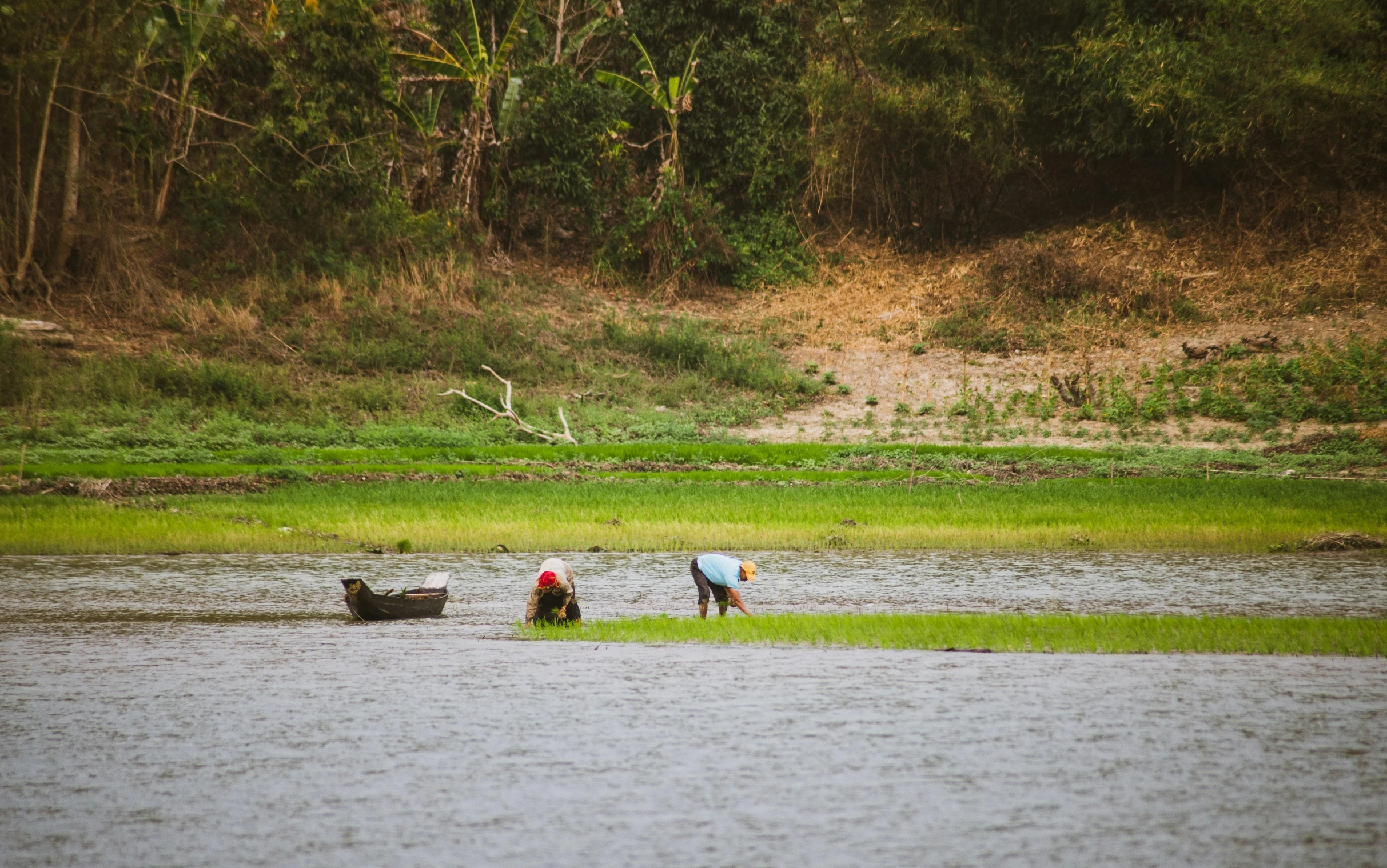 three people in a river with a boat and two dogs