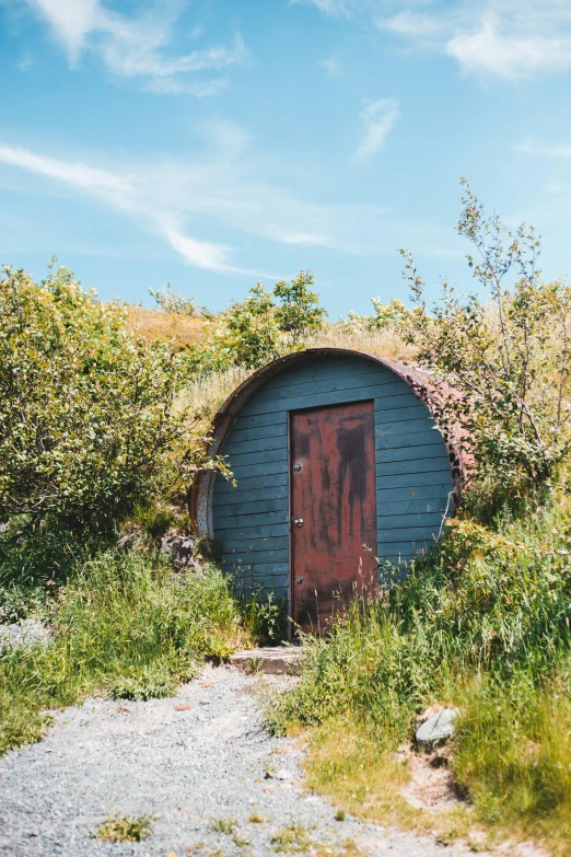 an old, run down building with vegetation surrounding it