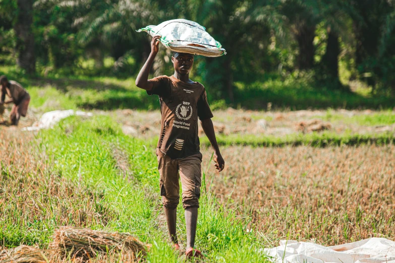 the woman carries an object over her head