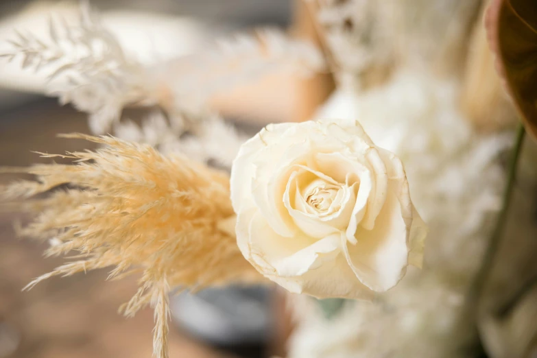 a white rose is hanging from the side of a vase