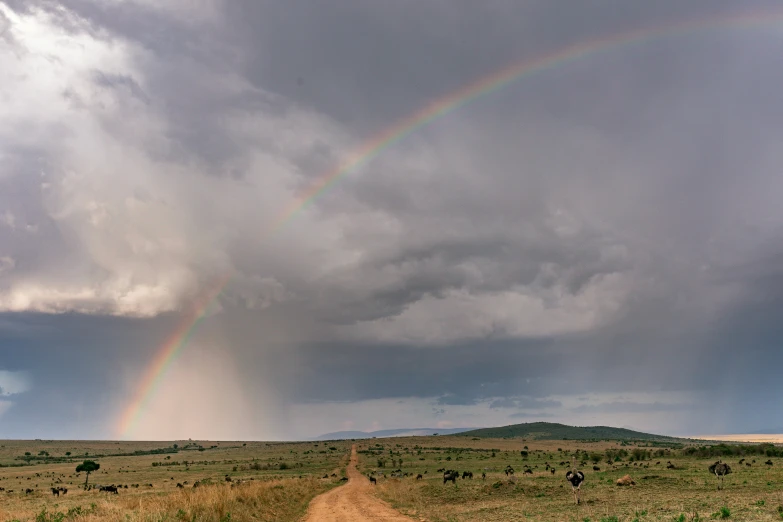 there is a double rainbow over the plains