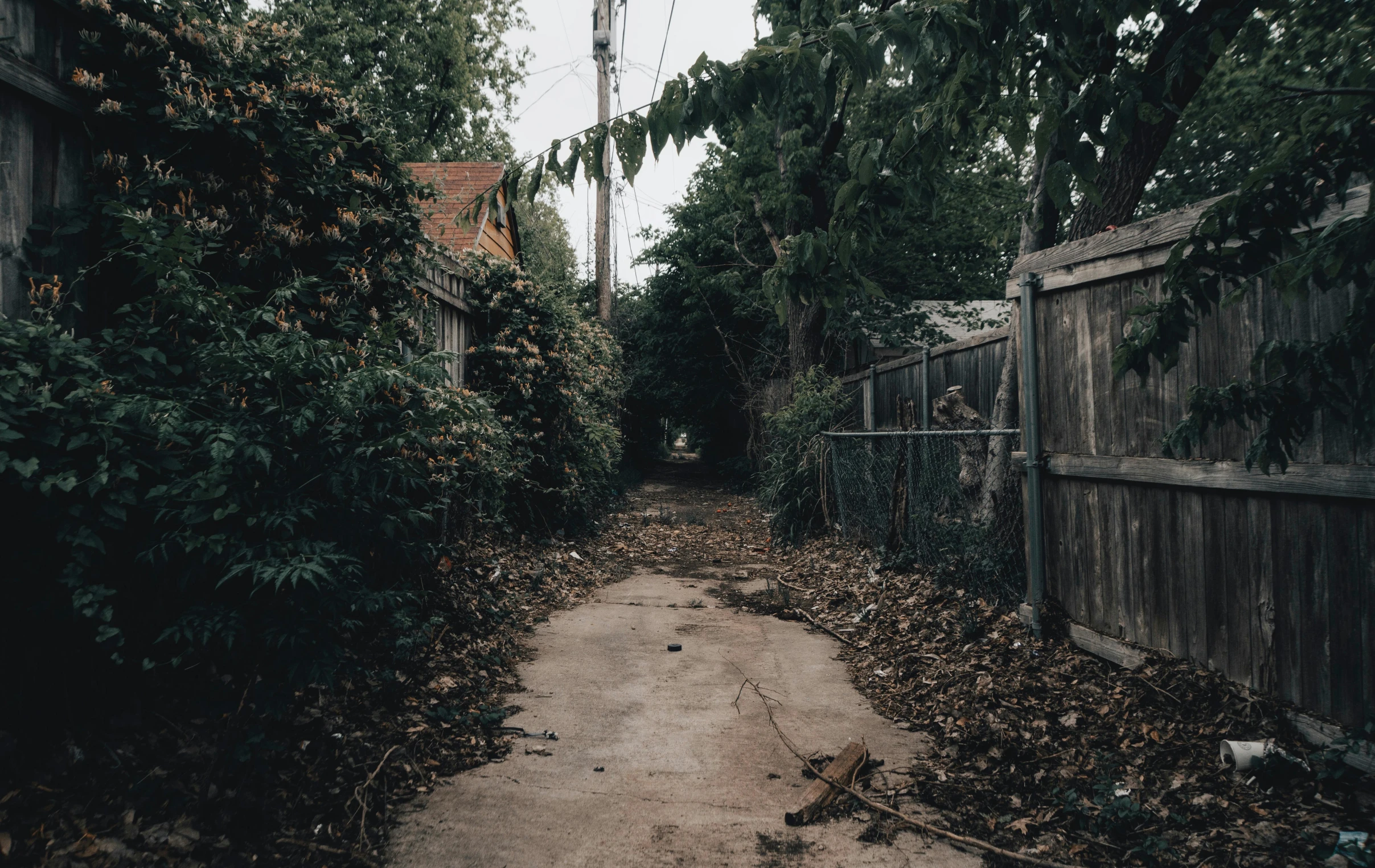 a dirt path in an old, overgrown neighborhood